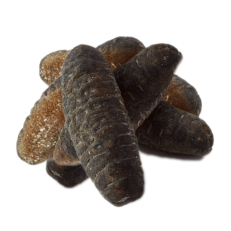 DRIED SANDFISH