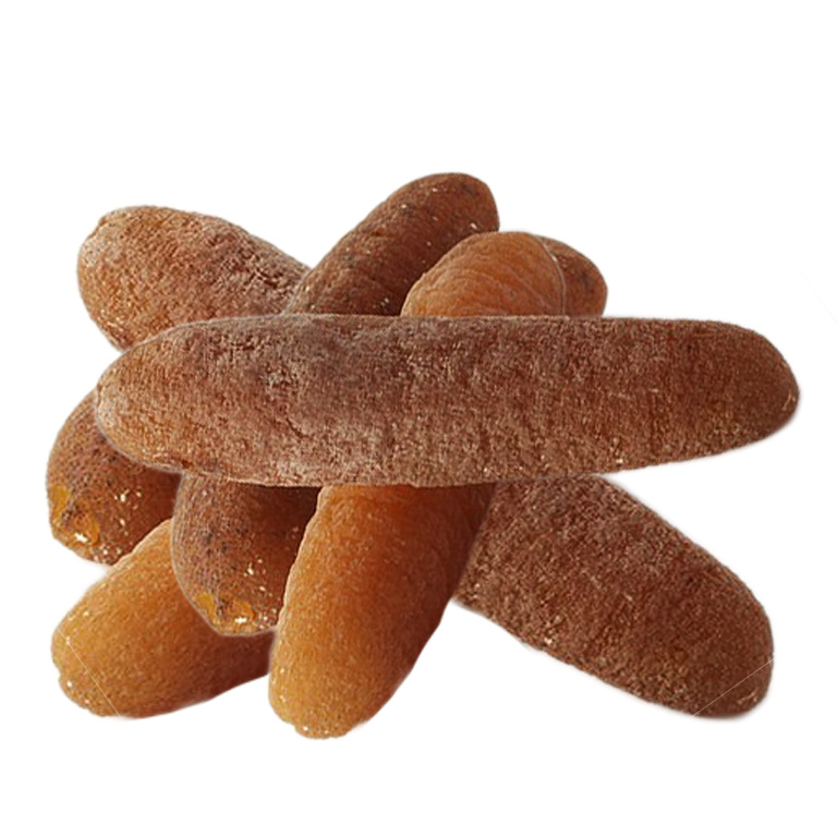 BROWN FISH SEA CUCUMBER (Disco)